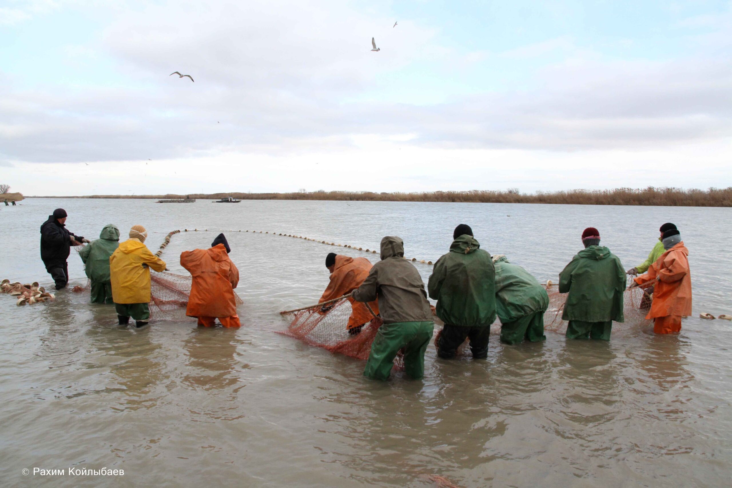 Берег Каспийского моря Калмыкия