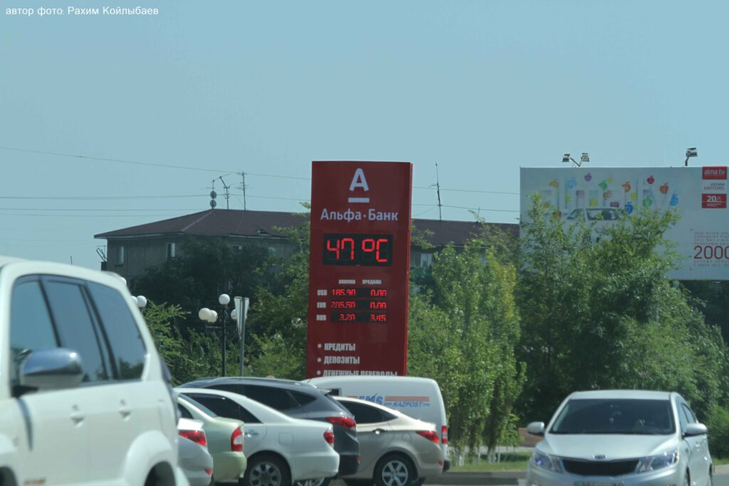 IMG 7531