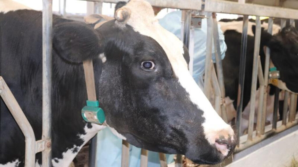 oX7GPTmCR7UhOKkIeBImNeL6Zg1veY2e0B2g1IWj.jpg width1200XheightautoXtype1