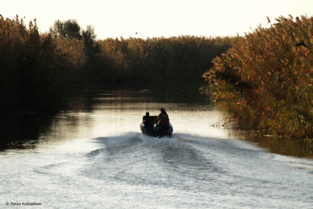 АСТРАХАНДА ӨЗЕНДЕ ЕКІ ҚАЙЫҚ СОҚТЫҒЫСЫП, ЕКІ АДАМ ЖАРАҚАТ АЛДЫ река лодка ерик осень 1 1024x683 1