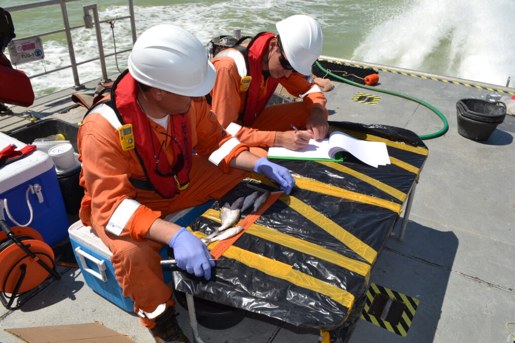 ҚАШАҒАН – ТЕҢІЗ, ҚАРА АЛТЫН ЖӘНЕ МАМАНДАР 12 DSC 6839