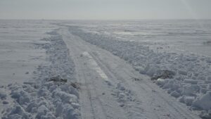 Бейнеуде шаруашылық иелерімен мал бағуға қатысы мәселелер талқыланды 1 WhatsApp Image 2026 02 02 at 12.30.52 1