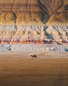 WhatsApp Image 2026 02 16 at 11.48.56