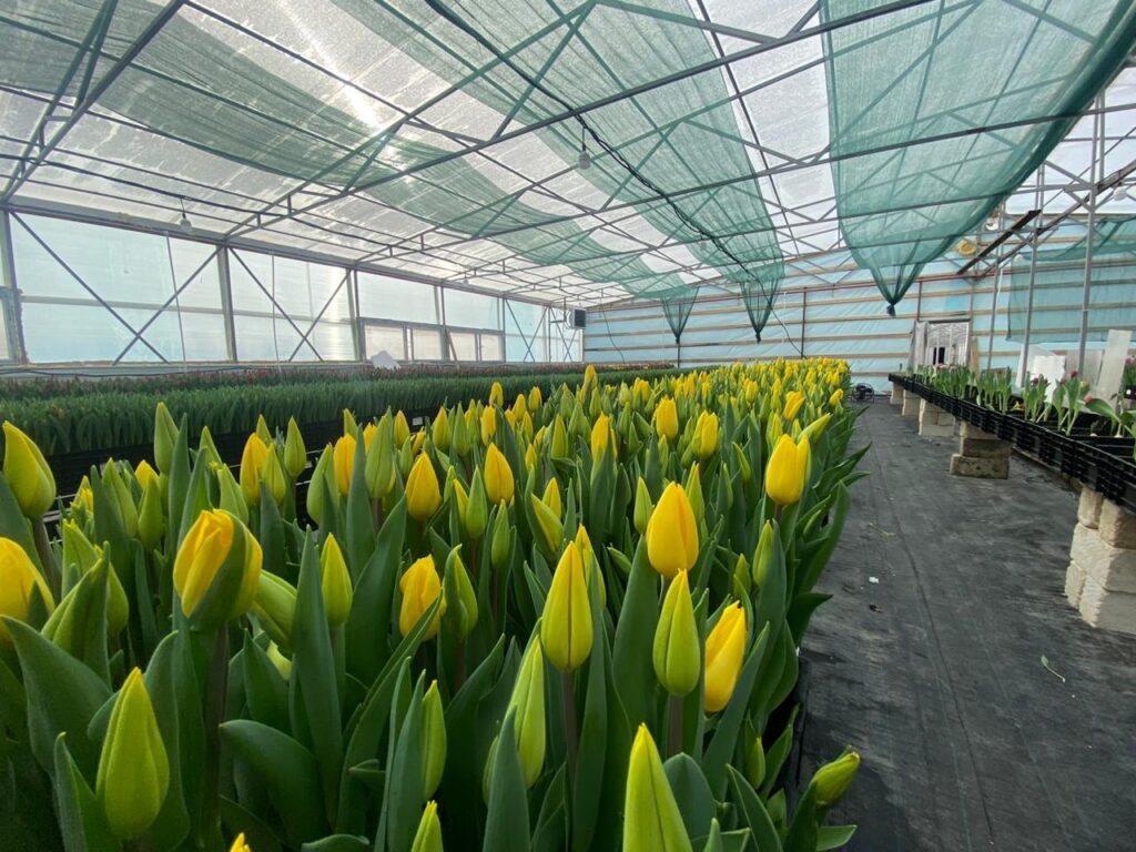 WhatsApp Image 2026 02 18 at 11.14.36