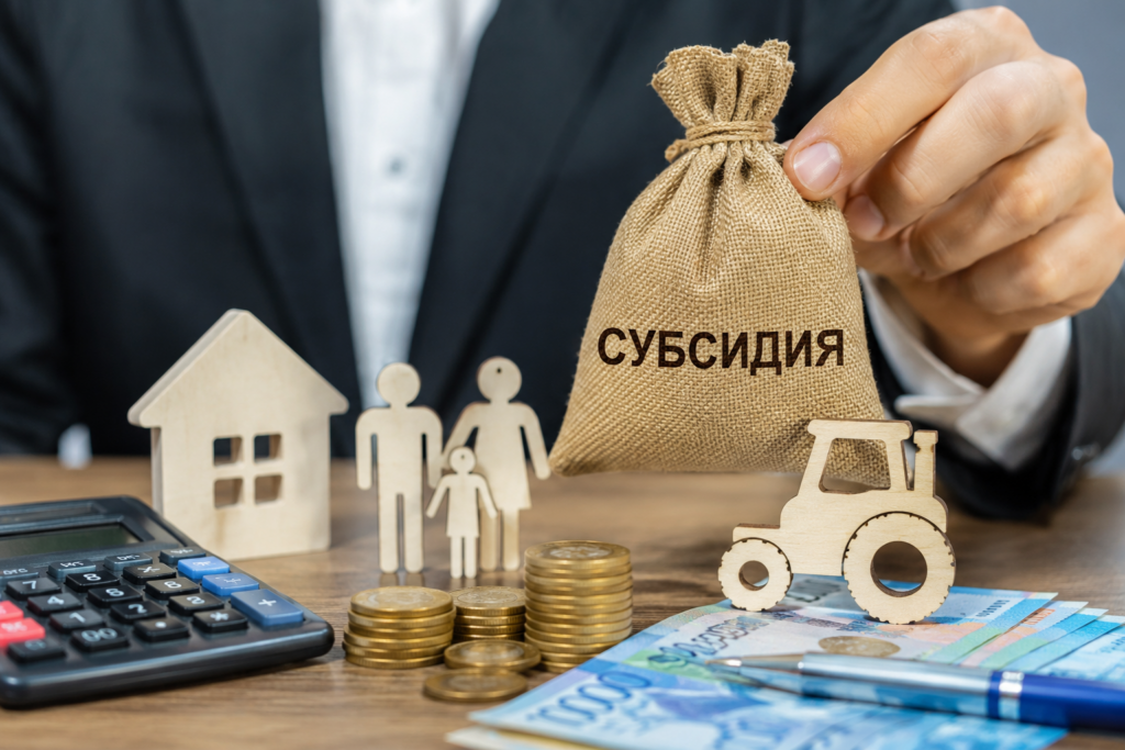 Атыраулық кәсіпкерлер қайта өңдеуге мемлекеттік субсидия ала алады